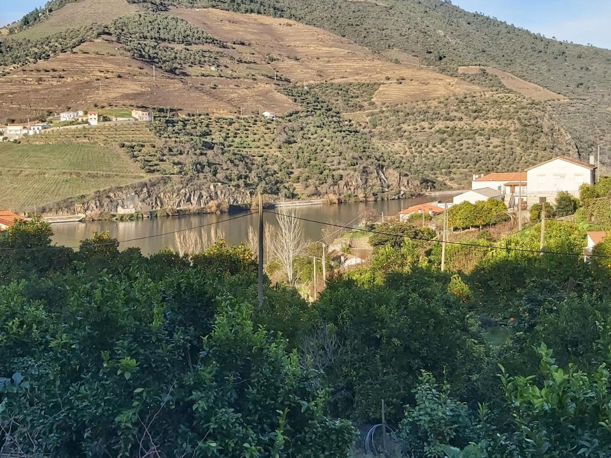 Вилла Casa Da Padaria Folgosa  Экстерьер фото